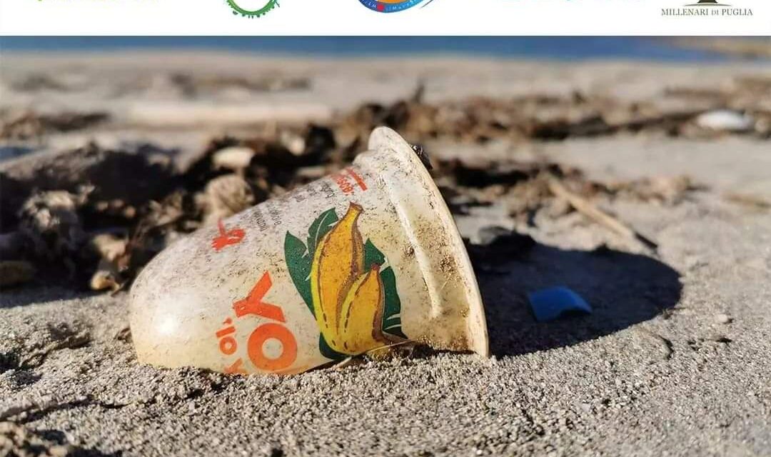 Sabato 17 settembre racccolta plastica in località Pedagne