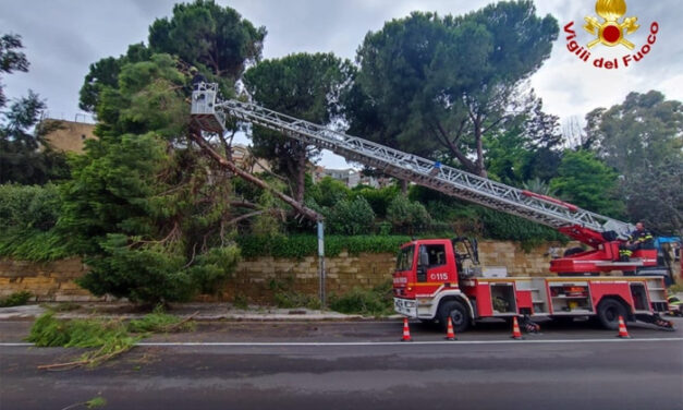 Albero caduto in via Provinciale per San Vito, intervento dei Vigili del Fuoco con l’autoscala