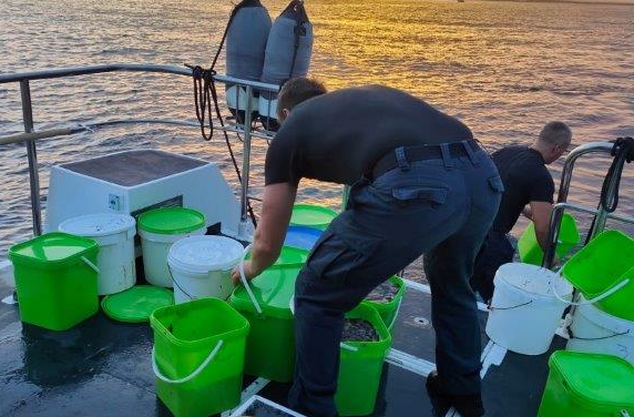 Traffico illegale  di oloturie, sequestro della capitaneria di porto di Brindisi