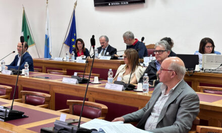 Consiglio Provinciale di Brindisi, esito della seduta del 30 maggio