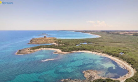 Stop alla pesca per un anno, a Torre Guaceto il progetto pilota