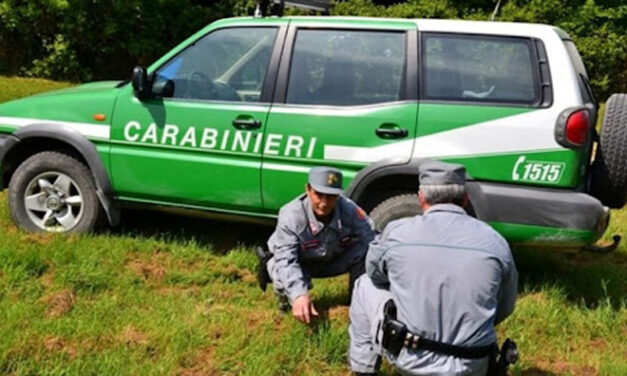 I Carabinieri Forestali pronti per la campagna di contrasto agli incendi boschivi per la stagione 2024