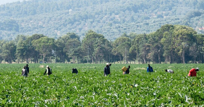 Sfruttamento del lavoro favoreggiamento clandestinità, “Caporale” di 41 anni arrestato a Mesagne dai Carabinieri