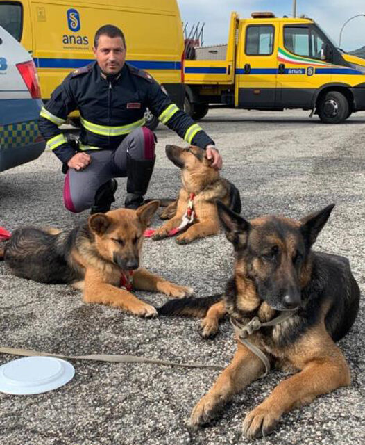 Campagna #senontiportononparto, lo spot della Polizia di Stato contro l’abbandono degli animali