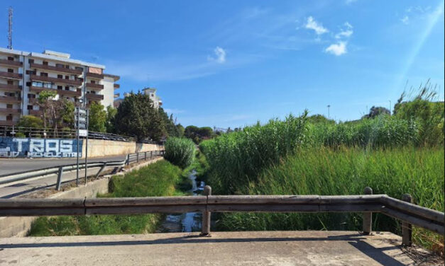 Canale Patri, sopralluogo degli assessori Elmo e Antonucci. Chiesto intervento immediato dell’Arneo