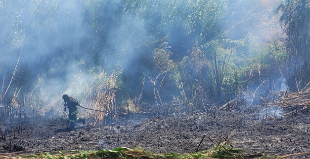 Incendio Canale Patri, Pd Brindisi: “Bene Elmo, ma ora si programmino interventi. L’amministrazione solleciti il governo per potenziare corpo VVdFF”