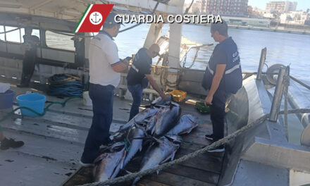 Pescano 300 chili di tonno rosso senza autorizzazione, quasi 3mila euro di multa e sequestro del pesce