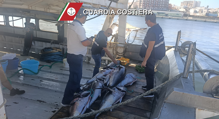 Pescano 300 chili di tonno rosso senza autorizzazione, quasi 3mila euro di multa e sequestro del pesce