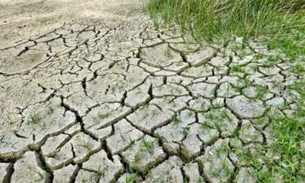 Agricoltura: “Si proclami stato di calamità per la siccità nel brindisino. AqP chiarisca su dissalatore”