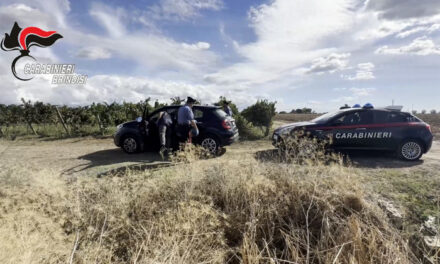 Auto rubate e cavallo di ritorno, arrestate altre 8 persone e ritrovate 40 mezzi sottratti tra parcheggio del Centro Commerciale Le Colonne e quello dell’ospedale “Perrino”