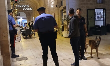 Fasano, controllo straordinario del territorio dei carabinieri, un arresto per stupefacenti, guida in stato di ebbrezza, senza patente ed evasione dai domiciliari