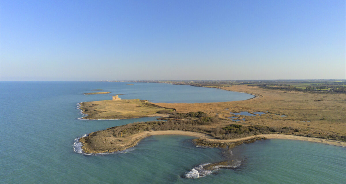 Torre Guaceto prima nella classifica del Ministero: 2024 un anno di lavoro e soddisfazioni