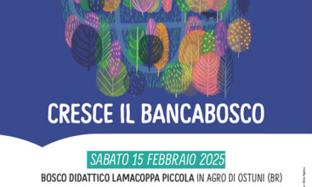 La Banca di Credito Cooperativo di Ostuni e i Giovani Soci, nuova tappa del progetto “Banca Bosco” per la rigenerazione ambientale