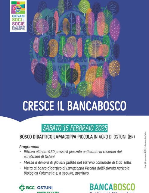 La Banca di Credito Cooperativo di Ostuni e i Giovani Soci, nuova tappa del progetto “Banca Bosco” per la rigenerazione ambientale