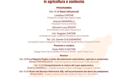 Media Porto – Polo Biblio Museale il 7 marzo incontro sul tema “Lupo appenninico in provincia di Brindisi – prevenzione danni da fauna selvatica in agricoltura e zootecnia”