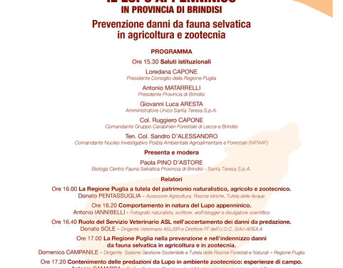 Media Porto – Polo Biblio Museale il 7 marzo incontro sul tema “Lupo appenninico in provincia di Brindisi – prevenzione danni da fauna selvatica in agricoltura e zootecnia”