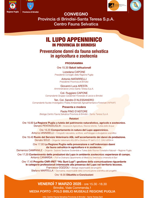 Media Porto – Polo Biblio Museale il 7 marzo incontro sul tema “Lupo appenninico in provincia di Brindisi – prevenzione danni da fauna selvatica in agricoltura e zootecnia”