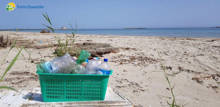 Torna la pulizia spiagge di comunità di Torre Guaceto, ecco come partecipare