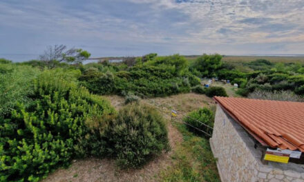 Al via il primo corso di apicoltura a Torre Guaceto